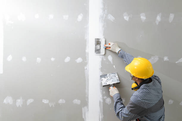 Best Air Quality Testing for Mold Spores  in Amboy, IL