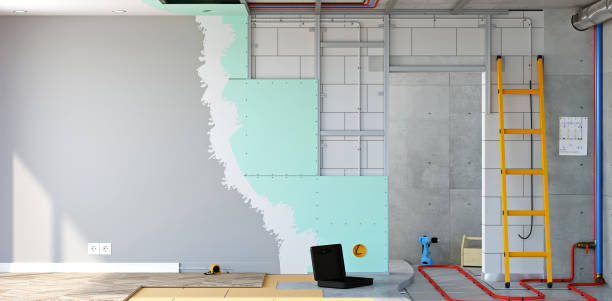 Best Airborne Mold Testing  in Amboy, IL