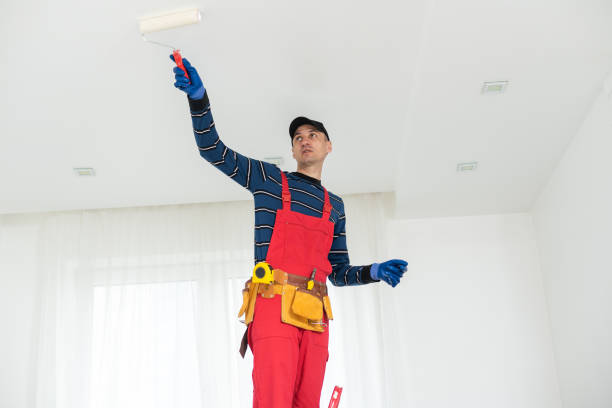 Best Commercial Mold Inspection  in Amboy, IL
