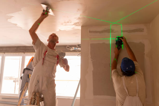 Best Mold Documentation for Insurance Claims  in Amboy, IL