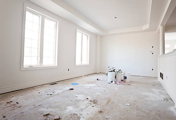 Best Black Mold Removal  in Amboy, IL