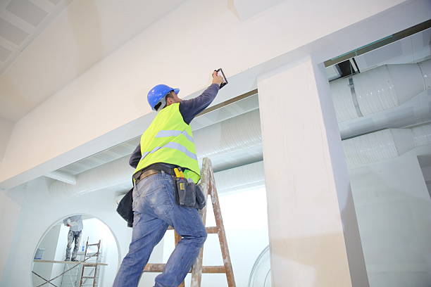 Forensic Mold Investigation in Amboy, IL