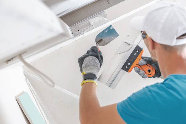 Best Mold Damage Restoration  in Amboy, IL